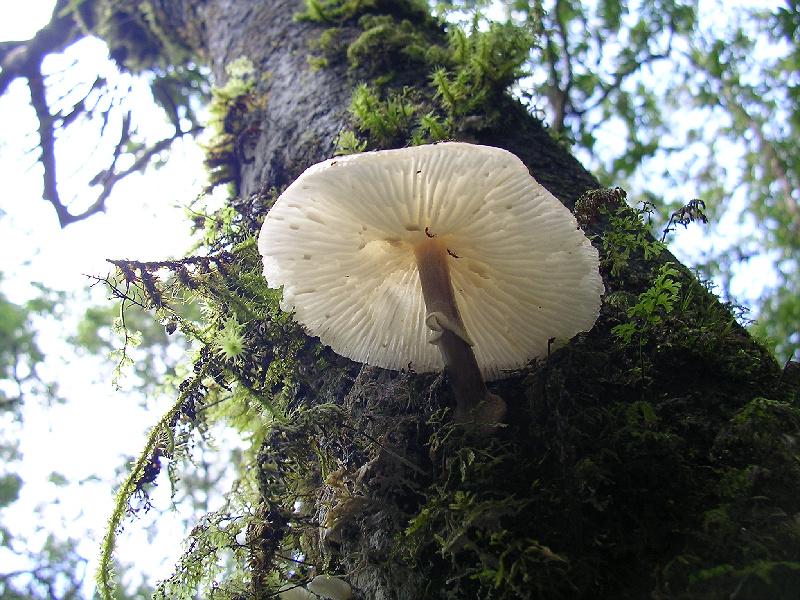 SANYO DIGITAL CAMERA