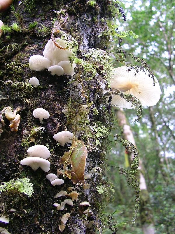 SANYO DIGITAL CAMERA