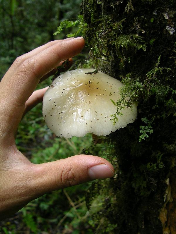 SANYO DIGITAL CAMERA