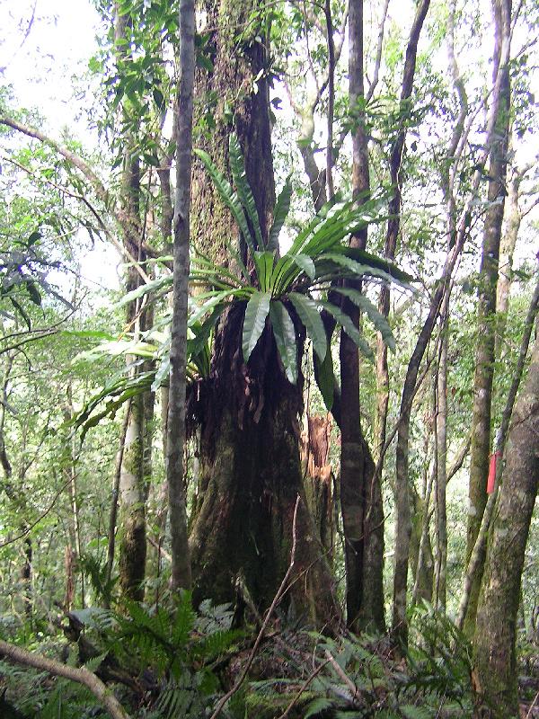 SANYO DIGITAL CAMERA