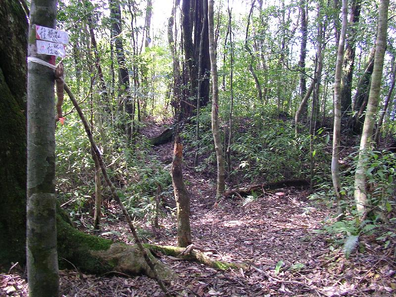 SANYO DIGITAL CAMERA