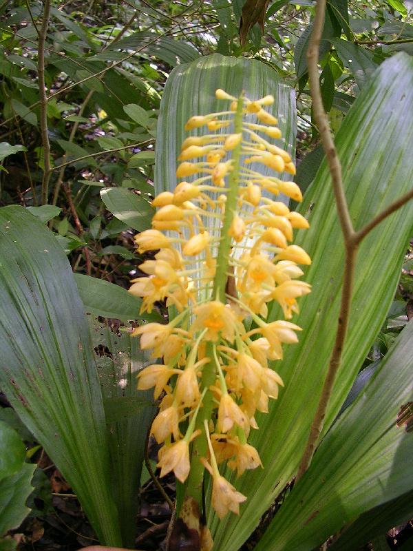 SANYO DIGITAL CAMERA