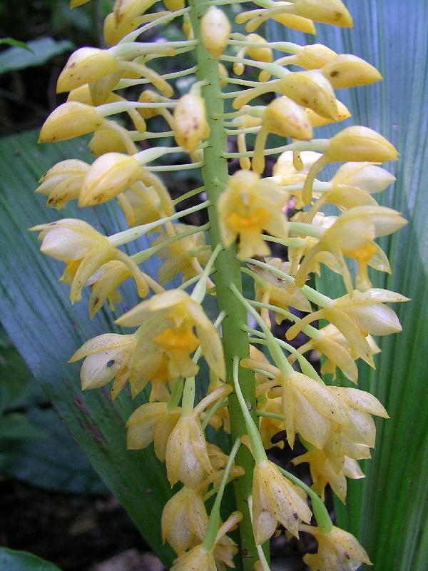 SANYO DIGITAL CAMERA