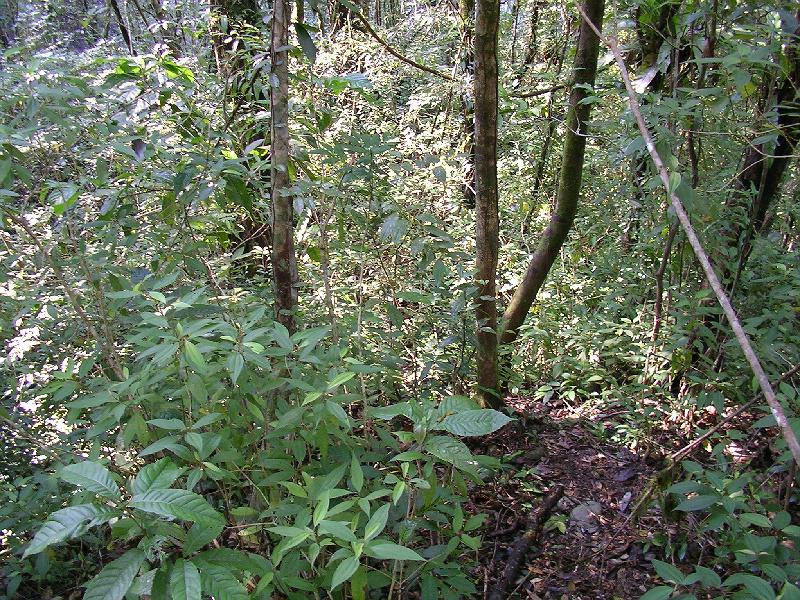 SANYO DIGITAL CAMERA