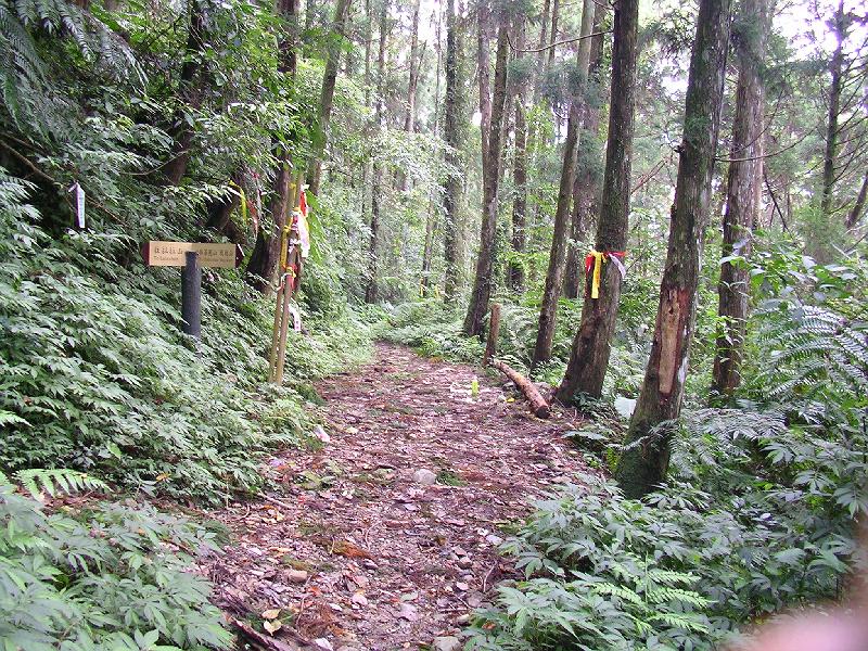 SANYO DIGITAL CAMERA