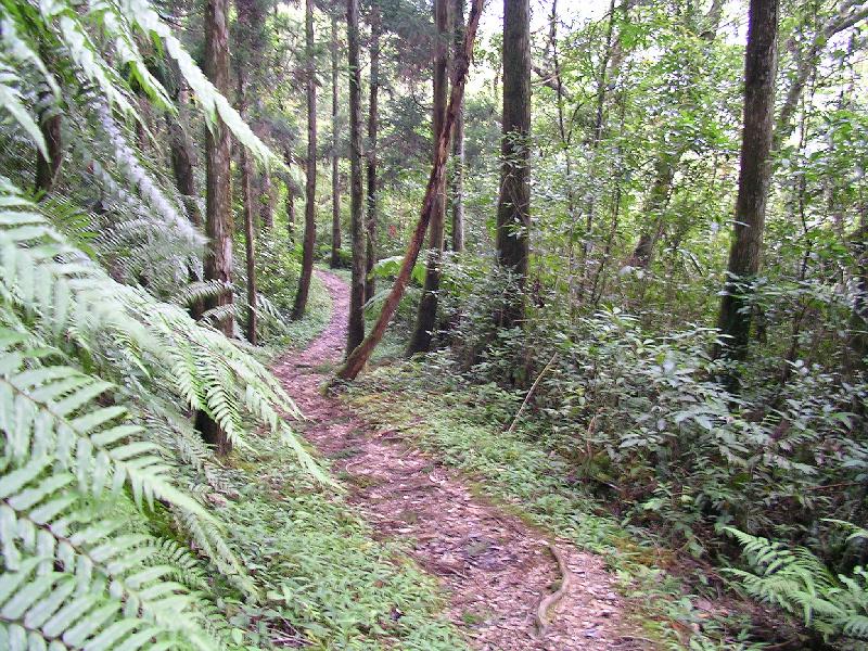 SANYO DIGITAL CAMERA