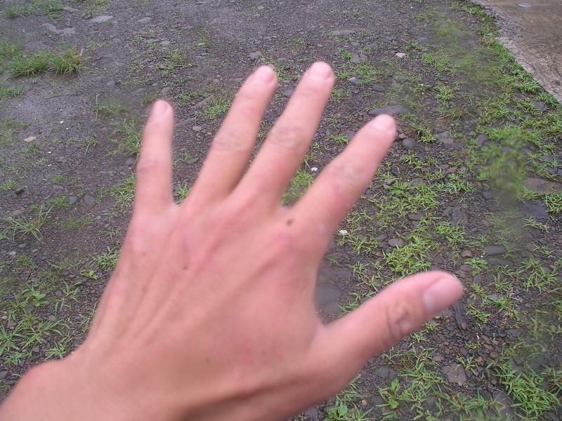 OLYMPUS DIGITAL CAMERA         