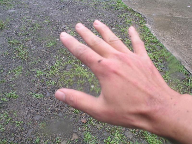 OLYMPUS DIGITAL CAMERA         