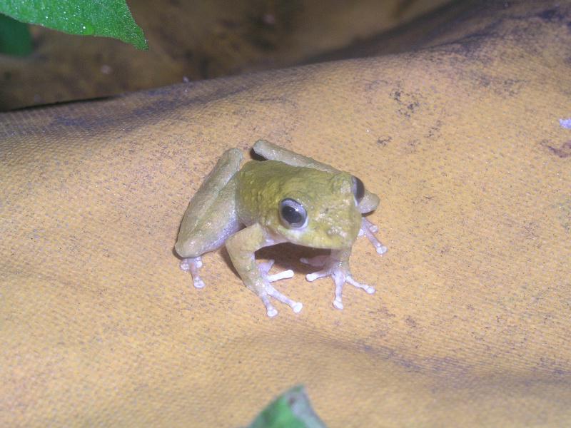 OLYMPUS DIGITAL CAMERA         