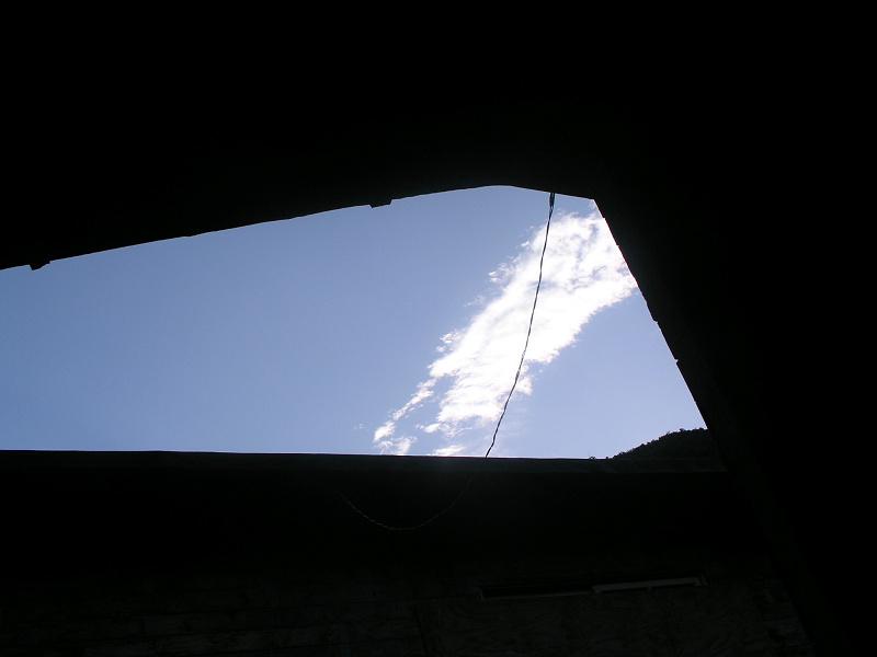 OLYMPUS DIGITAL CAMERA         