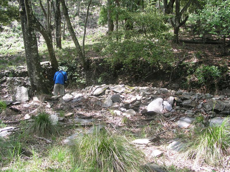 OLYMPUS DIGITAL CAMERA         