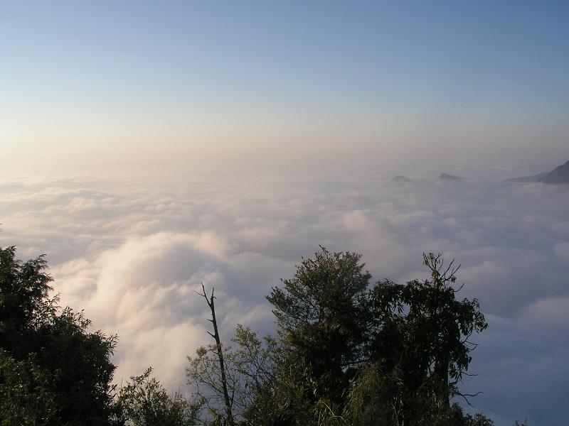 OLYMPUS DIGITAL CAMERA         