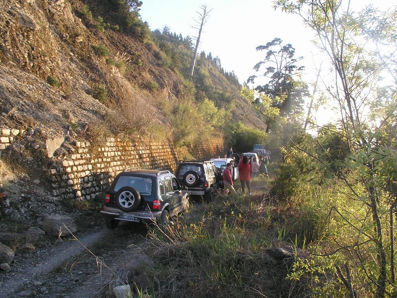 OLYMPUS DIGITAL CAMERA         