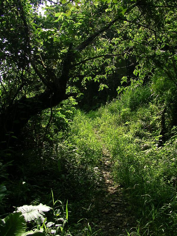 SANYO DIGITAL CAMERA