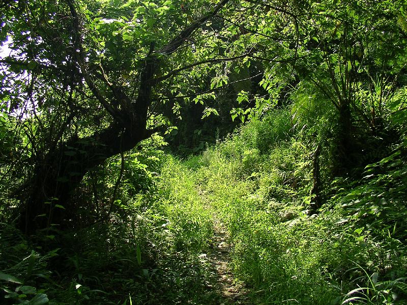 SANYO DIGITAL CAMERA