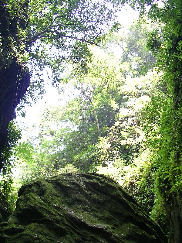 SANYO DIGITAL CAMERA