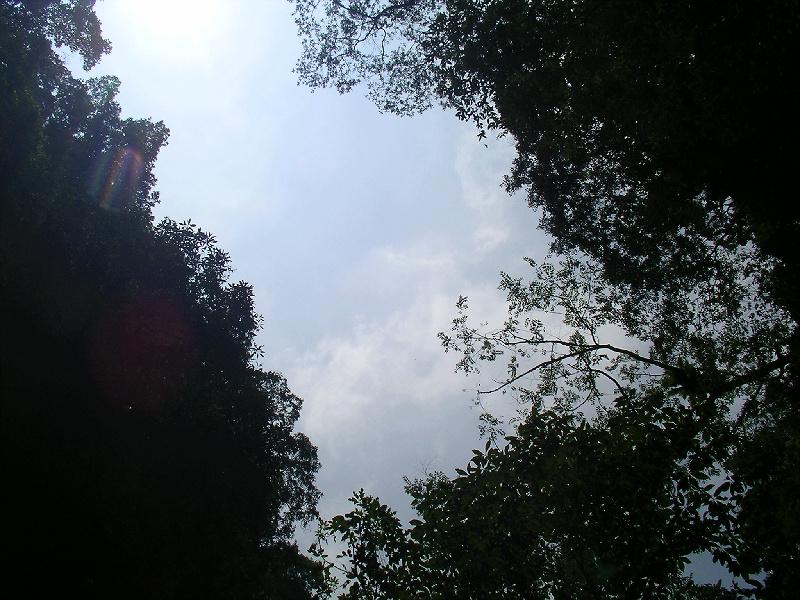 SANYO DIGITAL CAMERA