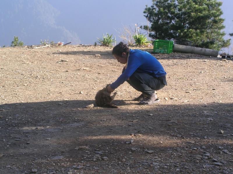 OLYMPUS DIGITAL CAMERA         