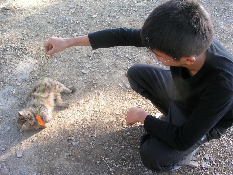 OLYMPUS DIGITAL CAMERA         