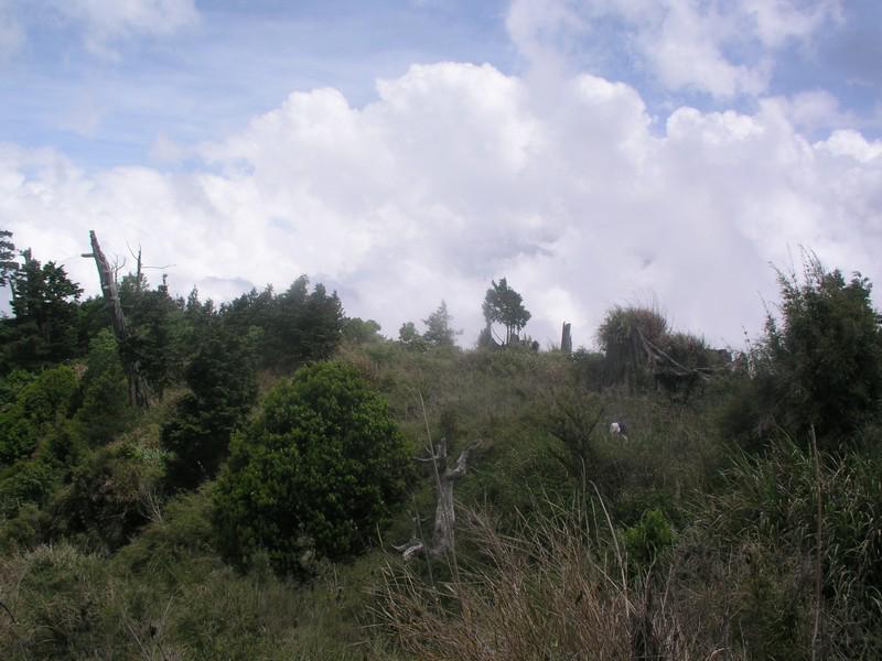 OLYMPUS DIGITAL CAMERA         