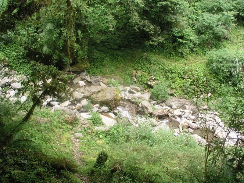 OLYMPUS DIGITAL CAMERA         