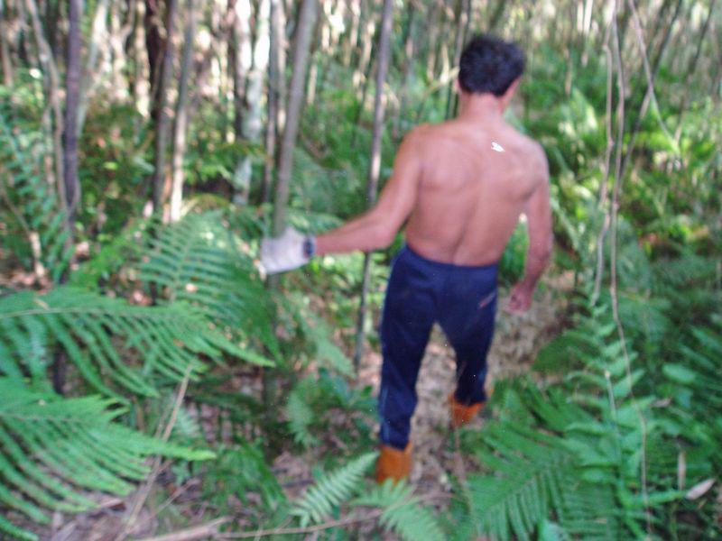 OLYMPUS DIGITAL CAMERA         