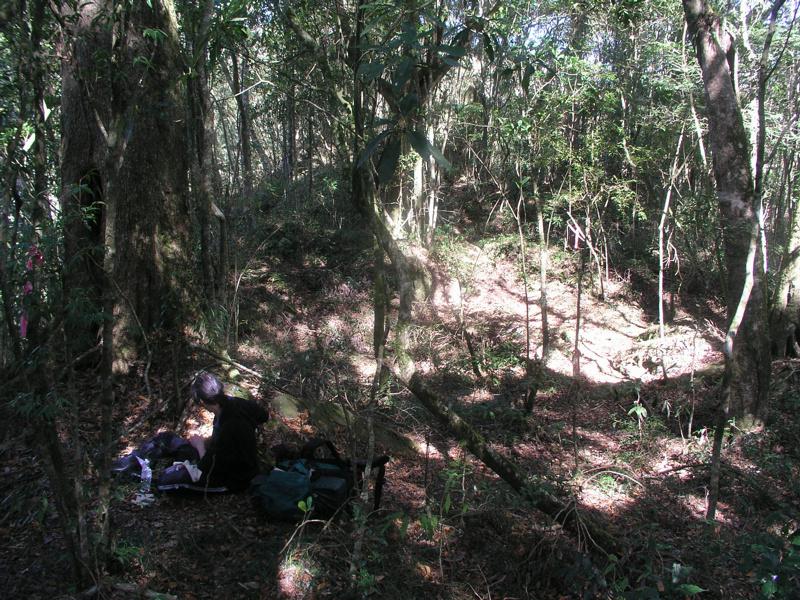 OLYMPUS DIGITAL CAMERA         