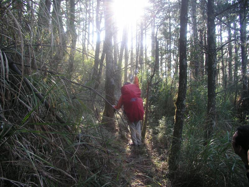 OLYMPUS DIGITAL CAMERA         