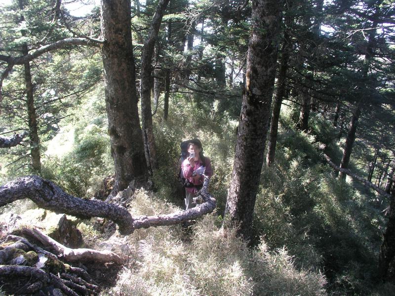 OLYMPUS DIGITAL CAMERA         